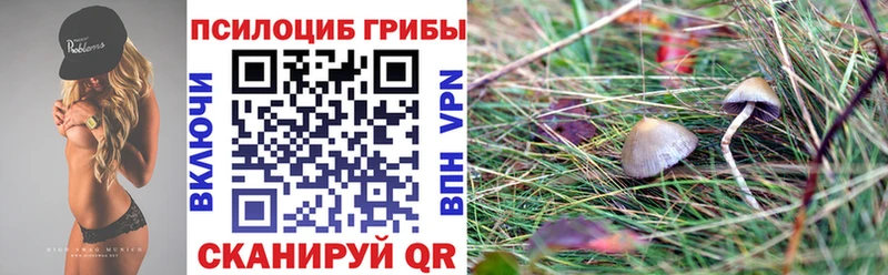 blacksprut вход  где купить   Набережные Челны  Галлюциногенные грибы GOLDEN TEACHER 